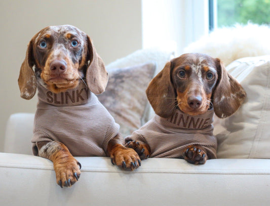 Personalised Dachshund Jumper - Neck Embroidery