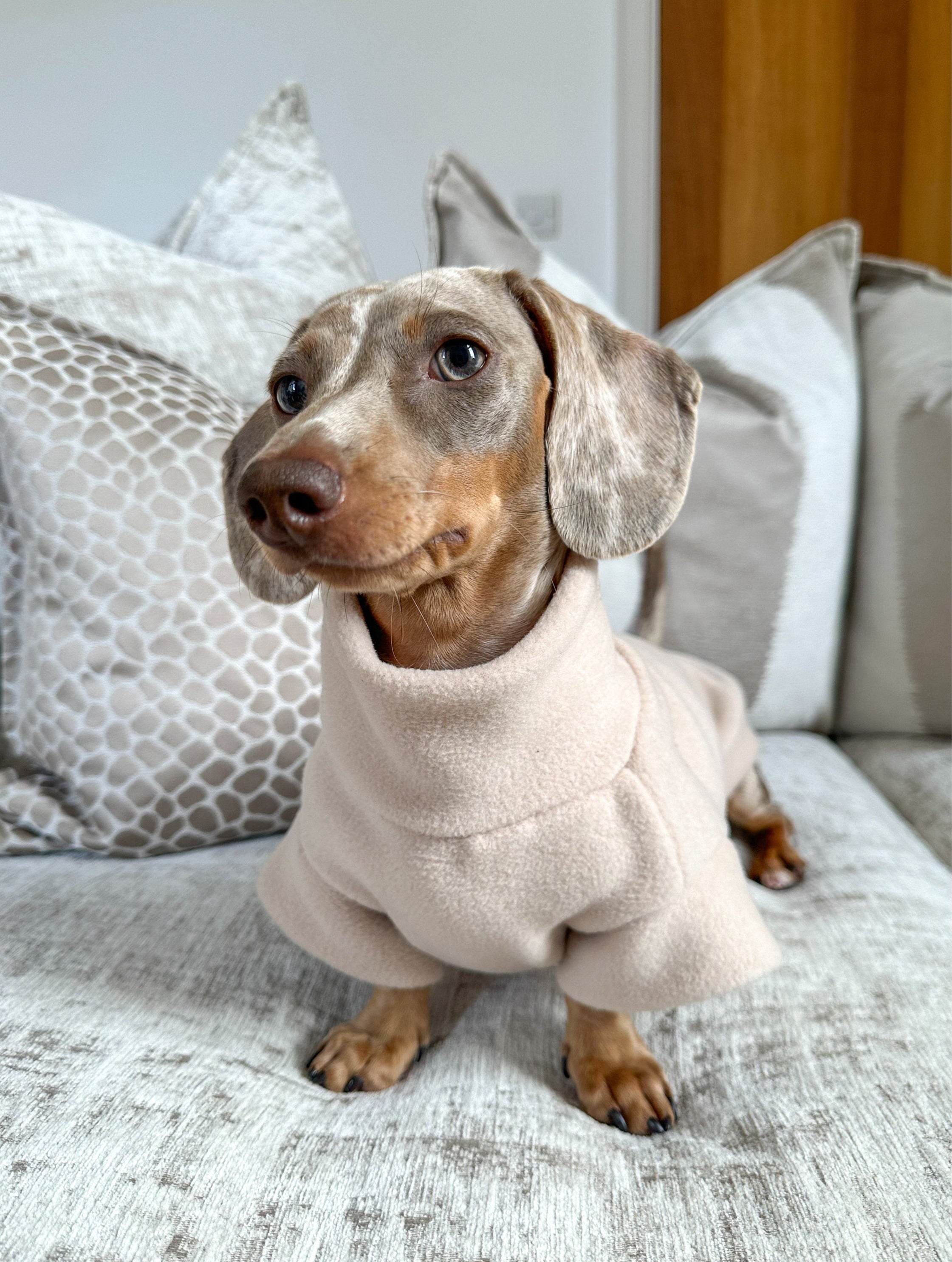 Dachshund Fleece Leg Cuff Poppy and Becky