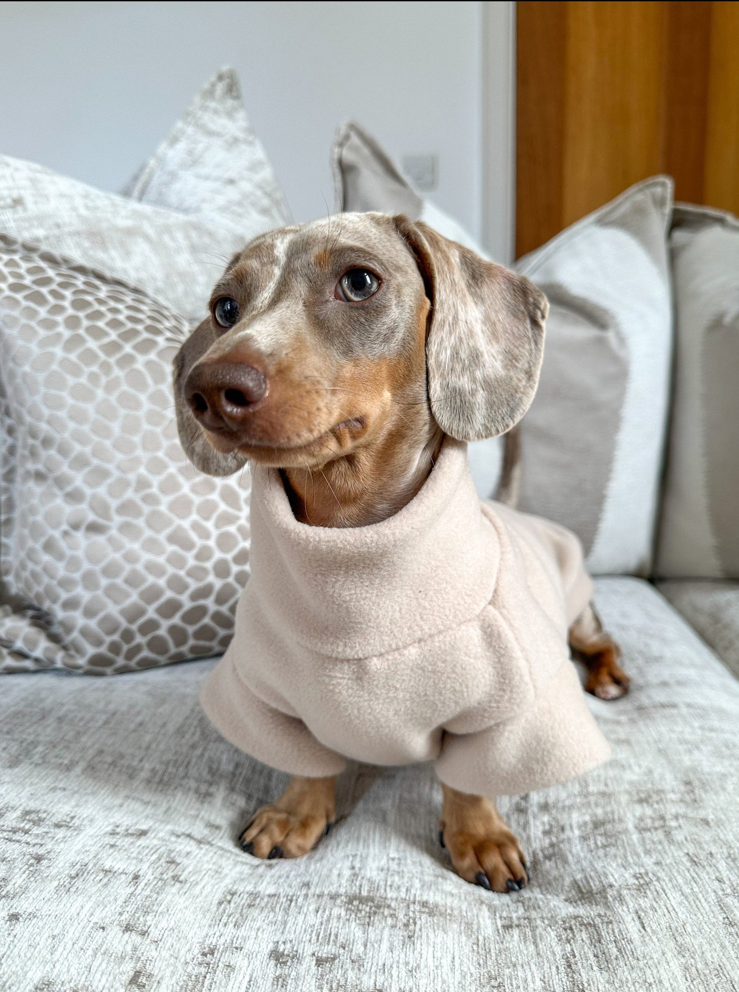 All Breed Dog Fleece